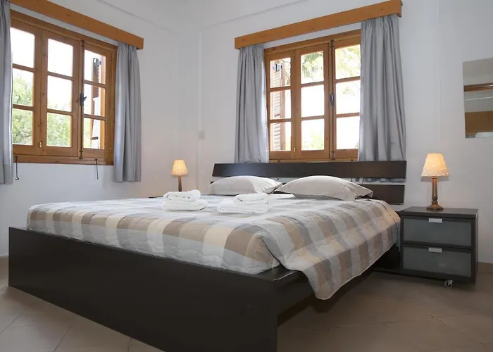 Chrysanthema Prázdninový dům *